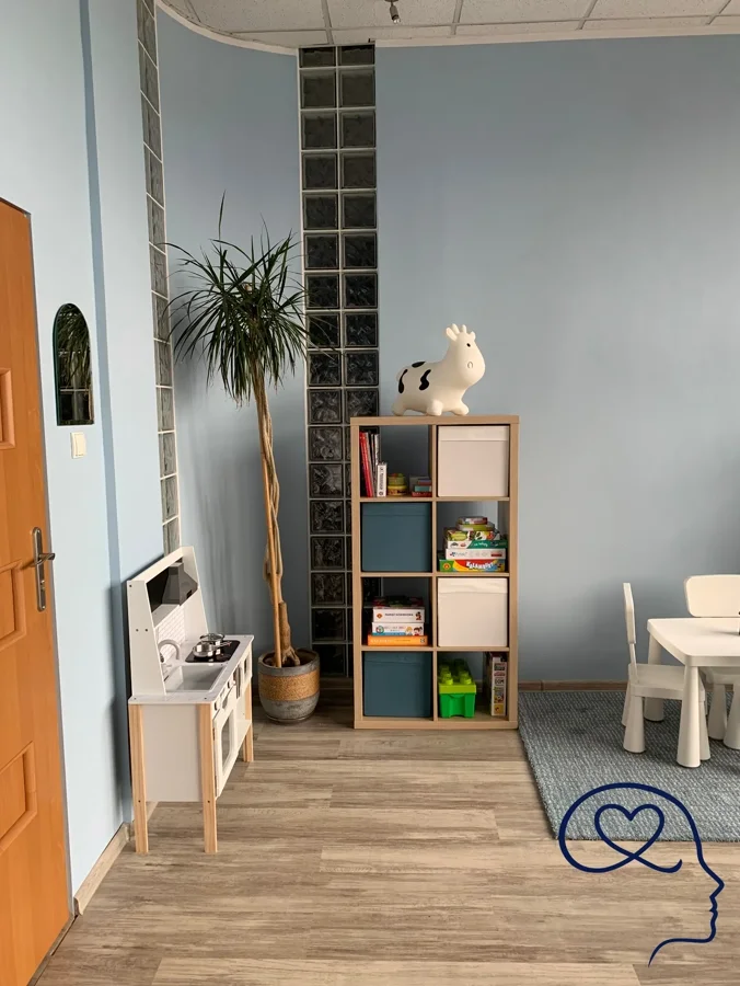 Gabinet — biurko i biblioteka
